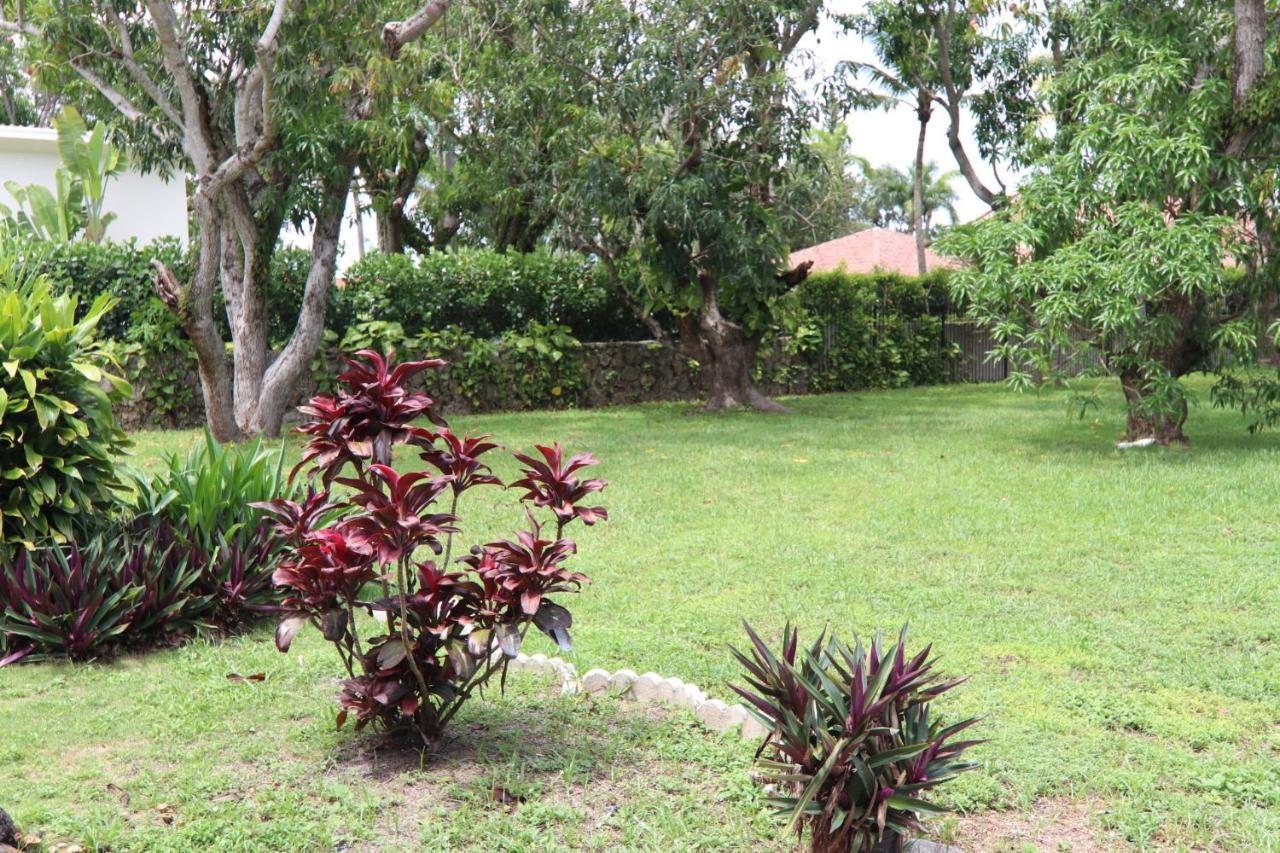 La Finca Miami Eksteriør bilde