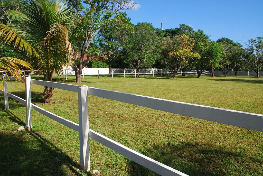 La Finca Miami Eksteriør bilde